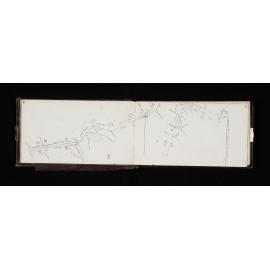 OT_0253_008