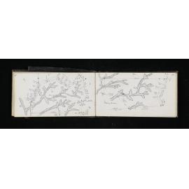 OT_0347_029