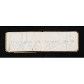 OT_0976_032