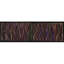 WN_2954-0002