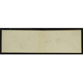 WN_2905-0003