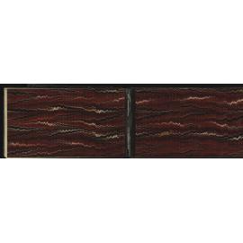 WN_2972-0021