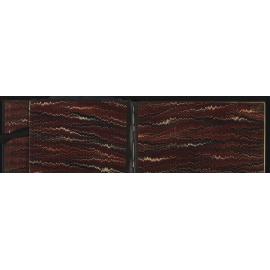 WN_2975-0002