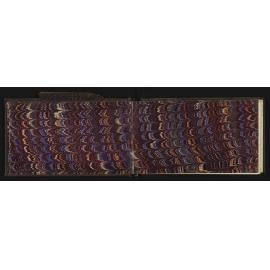 WN_3009-0002