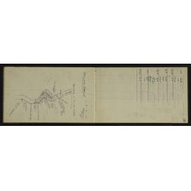 WN_3068-0018
