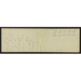WN_3032-0007