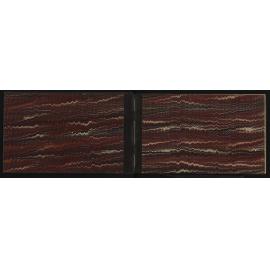 WN_3099-0002