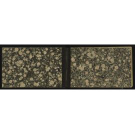 WN_3101-0002