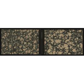WN_3120-0002