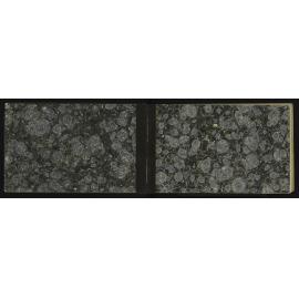 WN_3123-0002