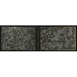 WN_3156-0002