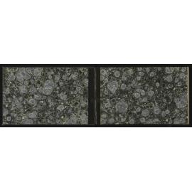 WN_3163-0002