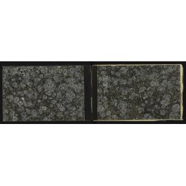 WN_3172-0002