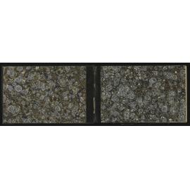 WN_3177-0002