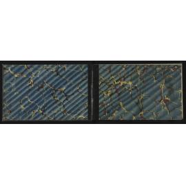 WN_3207-0002