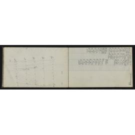 WN_3207-0013