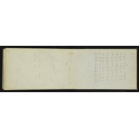 WN_3251-0064