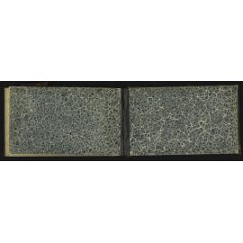 SA_1299-035