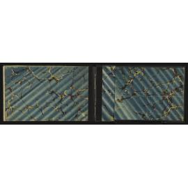WN_3226-0022