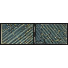 WN_3265-0024