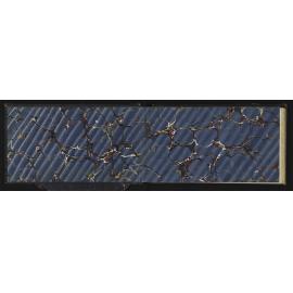WN_0409-0002