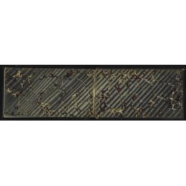 SA_0804-025