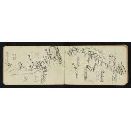 SA_0876-010