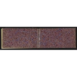 SA_1010-010