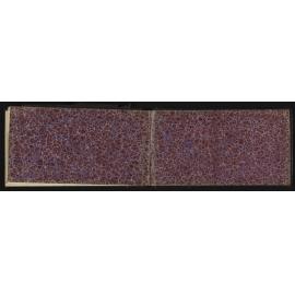 SA_1049-024