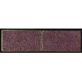 SA_1116-025
