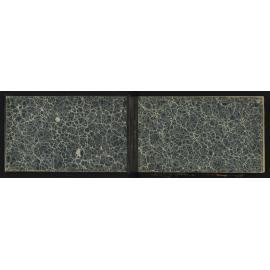 SA_1198-002