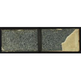 SA_1236-002