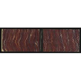 SA_1882-040
