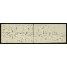SA_1907-021