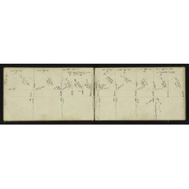 SA_1908-013