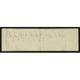 SA_1908-017