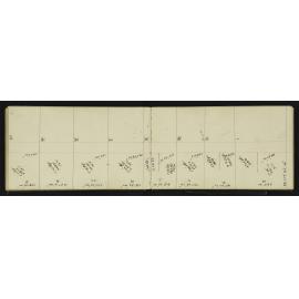 SA_1908-041