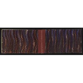 SA_2165-012