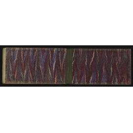 SA_2395-061