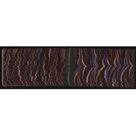SA_2609-013