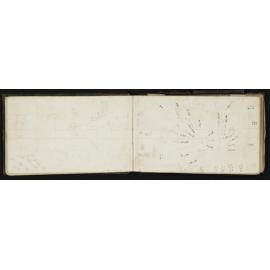 WN_0163-0054