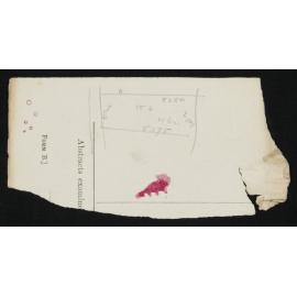 WN_0168-0094