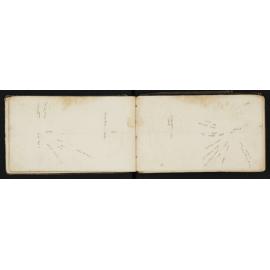 WN_0169-0019