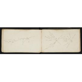 WN_0169-0041