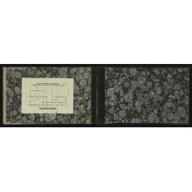 SA_3980-032