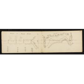 WN_0786-0009