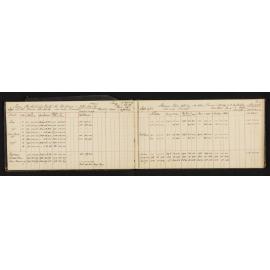 WN_0799-0008