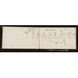 WN_0806-0005