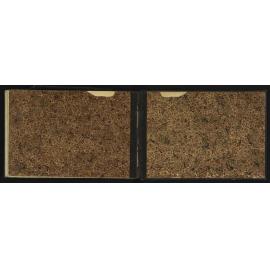 NA_3155-056