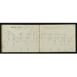 NA_3246-047